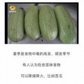 吃瓜网官网免费观看 吃瓜网官网,免费观看，畅享娱乐盛宴